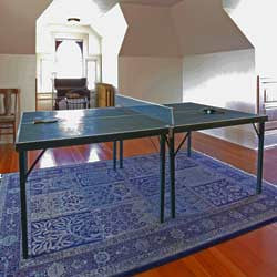 Stationary Tables - eTableTennis 