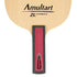 Butterfly Amultart ZL Carbon Table Tennis Blade Butterfly