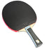 Butterfly Viscaria Super ALC Pro-Line Racket Butterfly