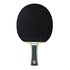 Butterfly Viscaria Super ALC Pro-Line Racket Butterfly