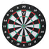 VIPER DOUBLE PLAY COILED BRISTLE DARTBOARD GLD Products