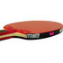 Butterfly Mizutani Jun Super FL Pro-Line With Tenergy 05 Butterfly