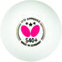 Butterfly S40+ 3-Star Table Tennis Balls Butterfly