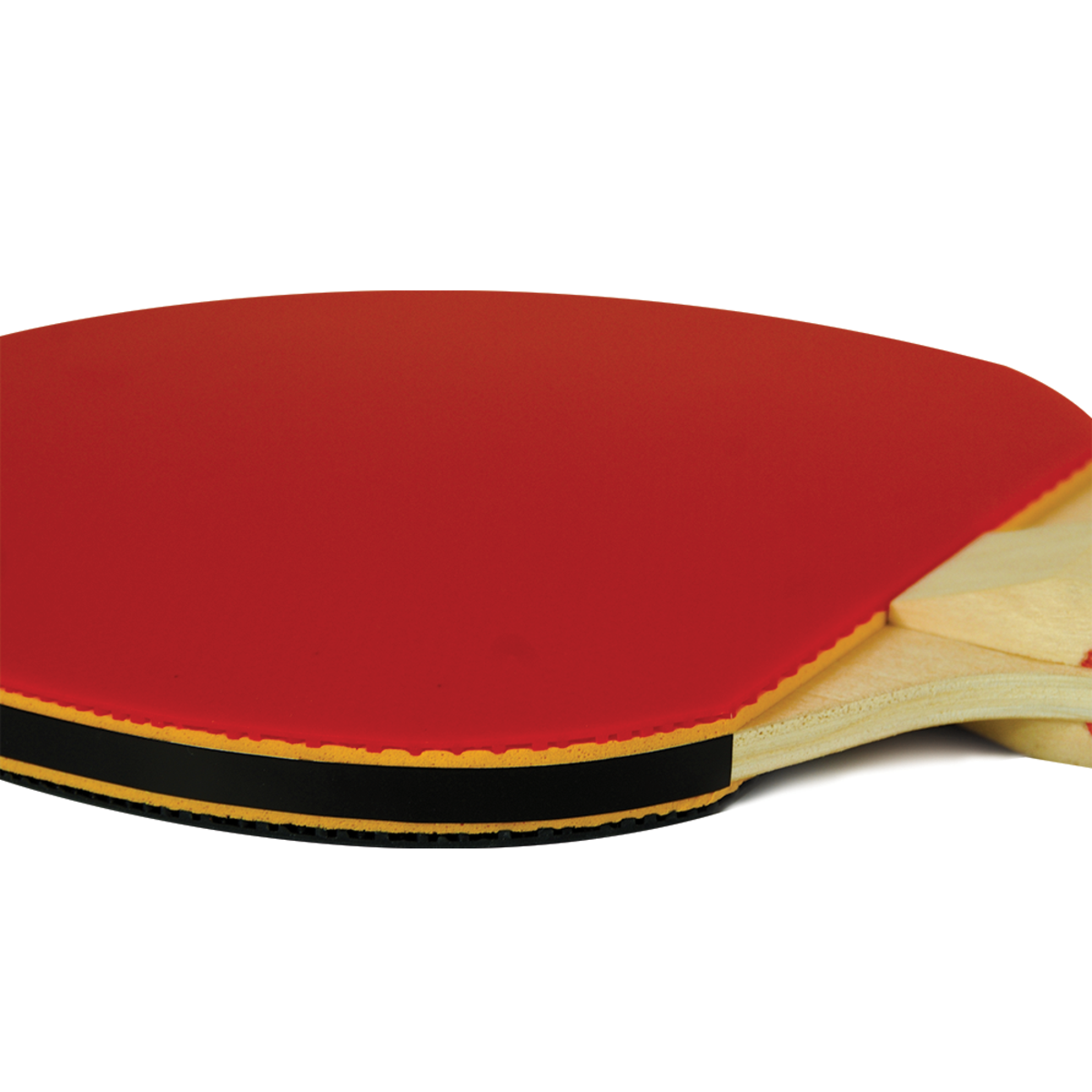 Martin Kilpatrick Tsunami Table Tennis Racket Butterfly